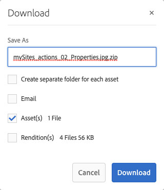 Asset(s) download dialog