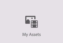 My Assets navigation button