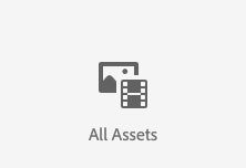 All Assets navigation button